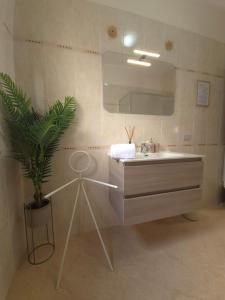 a bathroom with a sink and a mirror and a plant at CJ SEA HOME CAMERE in Trapani +155 photos