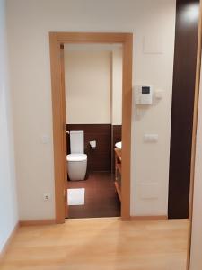 a bathroom with a toilet in a room at Estudio Céntrico D2 in Oviedo