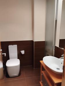 a bathroom with a toilet and a sink at Estudio Céntrico D2 in Oviedo