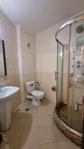 a bathroom with a toilet and a shower and a sink at Apartment Pool in Sinemorets