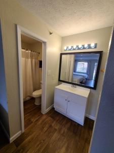 a bathroom with a sink and a mirror and a toilet at Mississippi Hotel in Macon