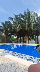 a blue swimming pool with palm trees in the background at Cabaña represa Prado 25+ huesp in Prado