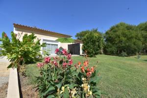 Κήπος έξω από το Gîte PMR Evasion Camarguaise