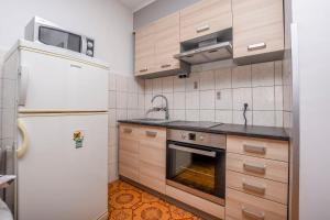 Kuchyň nebo kuchyňský kout v ubytování Apartments Luka