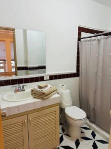 een badkamer met een toilet, een wastafel en een spiegel bij Best Location - Beautiful and Amazing Loft in Panama-Stad