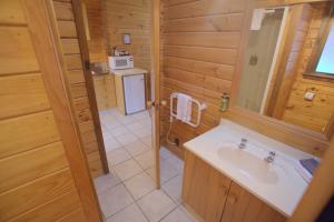 Koupelna v ubytování Alpine Lodge Motel