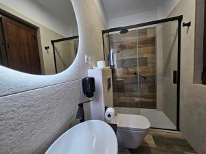 a bathroom with a white toilet and a mirror at Apartamentos Rurales Lola Penarronda in Castropol