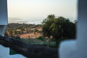 a view of a hill with a tree in the distance at Riad Dar Sarah in Taghazout
