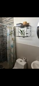 a bathroom with a toilet and a shower curtain at Kafi Studio in Liberia