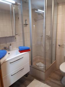 uma casa de banho com um chuveiro, um lavatório e um WC. em Plattenberger Hof em Waging am See