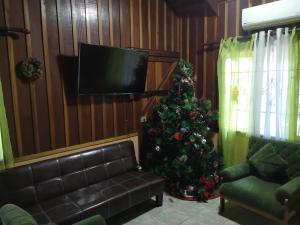 Sala de estar con árbol de Navidad y TV en Chalet Villa Vilma, en San Mateo