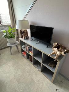 een televisie op een stand in een woonkamer bij La Colmena Bed & Breakfast in Nijmegen