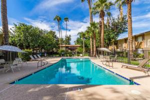 a swimming pool with chairs and palm trees at Coastal Cabana - Walk to Old Town - 2 Pools in Scottsdale