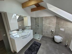 e bagno con servizi igienici, lavandino e doccia. di Ferienwohnungen Villa Ventil a Feldberg