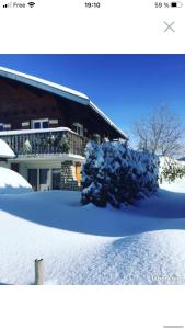 a house with snow covered trees in front of it at Charmant T2 proches centre village in Les Rousses