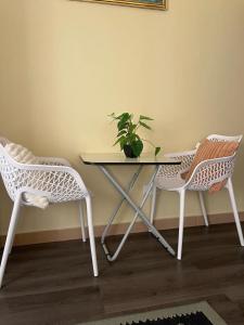 einem Tisch mit zwei Stühlen und einer Topfpflanze darauf in der Unterkunft SKY Havens Apartments in Accra