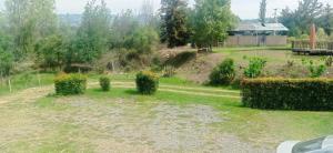 a garden with bushes and trees in a field at El Encanto De La Villa Campestre in Villa de Leyva