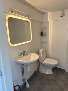 a bathroom with a sink and a toilet and a mirror at Atterfallshus1 in Nyköping