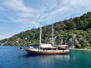 a boat sitting in the water next to a mountain at Hayat Bu, Boot in Fethiye