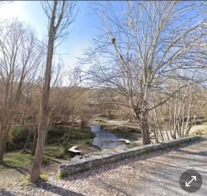 une rivière dans un parc arboré et une route dans l'établissement Mi Carmela, à Cenes de la Vega