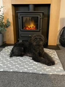 Gambar di galeri bagi Kinneuchar Cottage - by Elie, Dog Friendly. di Kilconquhar