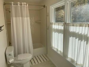 uma casa de banho com um WC, um chuveiro e uma janela. em Sperryville 3 BR house next to Blue Ridge Mts. em Sperryville