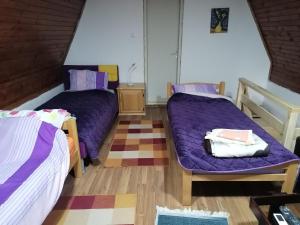 two beds in a room with purple sheets at Vikendica Dunav i SAVA in Donji Milanovac