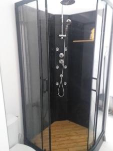 La salle de bains est pourvue d'une douche avec une porte en verre. dans l'établissement studio meublé wifi à proximité du tram, à Castelnau-le-Lez