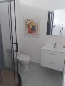 La salle de bains blanche est pourvue de toilettes et d'un lavabo. dans l'établissement studio meublé wifi à proximité du tram, à Castelnau-le-Lez