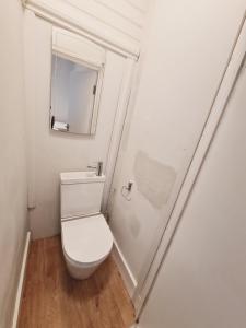 La petite salle de bains est pourvue de toilettes et d'un miroir. dans l'établissement Belvedere House 2 bedroom Greater London, à Belvedere