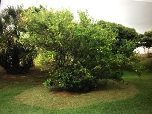 Imagen de la galería de La Villa Ingrid, en Antsiakambony