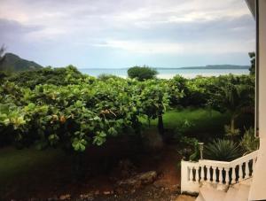 a view of the ocean from the garden at La Villa Ingrid in Antsiakambony