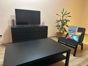 Televízia a/alebo spoločenská miestnosť v ubytovaní Hoa Stay - metro station Pankrac