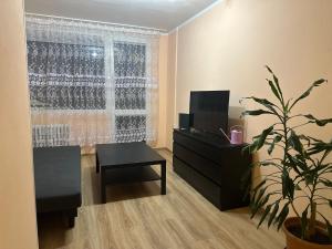 Televízia a/alebo spoločenská miestnosť v ubytovaní Hoa Stay - metro station Pankrac