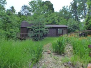 une petite cabine au milieu d'un champ d'herbe dans l'établissement Hocking Hills Cottage with beautiful pond, à Logan