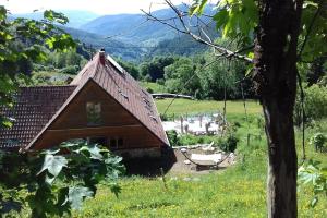 Příroda nedaleko apartmánu