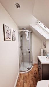 uma casa de banho com um chuveiro e um lavatório. em Nordlys Cottage em Newton Stewart