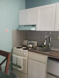 オーチョ・リオスにあるApartment by the Beach Sleeps 4の小さなキッチン(コンロ、シンク付)