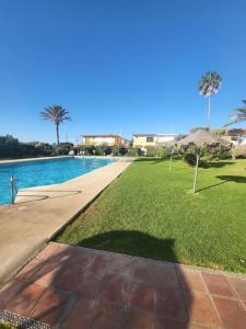 a swimming pool next to a lawn with palm trees at ¡Estudio a pie de playa! La Cala de Mijas in La Cala de Mijas