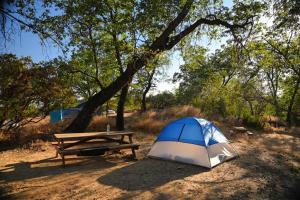 een tent en een picknicktafel in een veld bij Campgrounds at Sequoia Mountain Farms in Miramonte