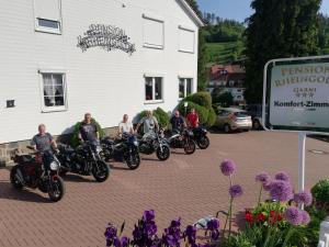 Hosté ubytování Pension Rheingold Garni