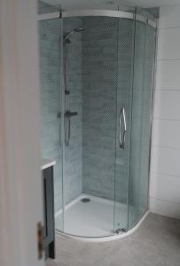 a shower with a glass enclosure in a bathroom at Apartment at 68 in Saintfield