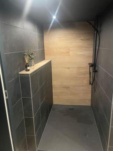a bathroom with a shower with a tile wall at Ferienwohnung Loft Schwielowsee mit Sauna in Schwielowsee
