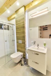 a bathroom with a toilet and a sink and a shower at Liliowa 12 in Dębki