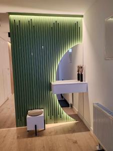 La salle de bains est pourvue d'un lavabo et d'un mur vert. dans l'établissement Apartman „Karolina”, à Nova Gradiška