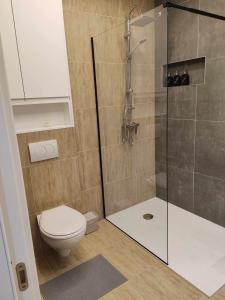 La salle de bains est pourvue d'une douche et de toilettes. dans l'établissement Apartman „Karolina”, à Nova Gradiška