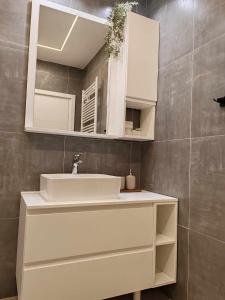 A bathroom at Apartman „Karolina”