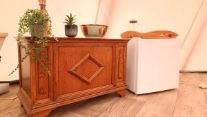 a wooden cabinet with potted plants on top of it at Wigwam in Roodhuis +1 photo