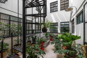 an indoor greenhouse with plants in a building at 102 Amplio y elegante estilo Art Déco in Mexico City