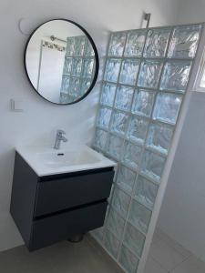 a bathroom with a sink and a mirror at Villa Favvidae ~ Close to Beach in Jan Thiel